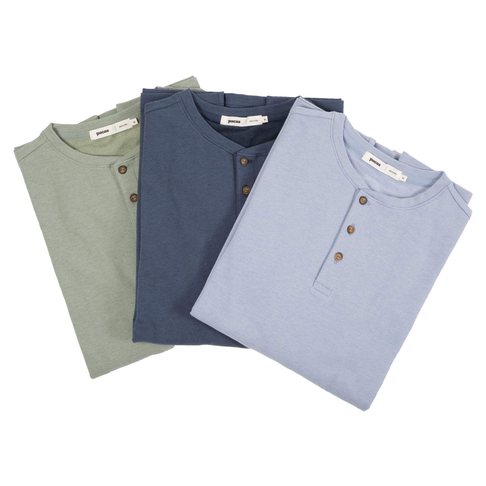 Pacas Inc Homepage pacas-inc-homepage